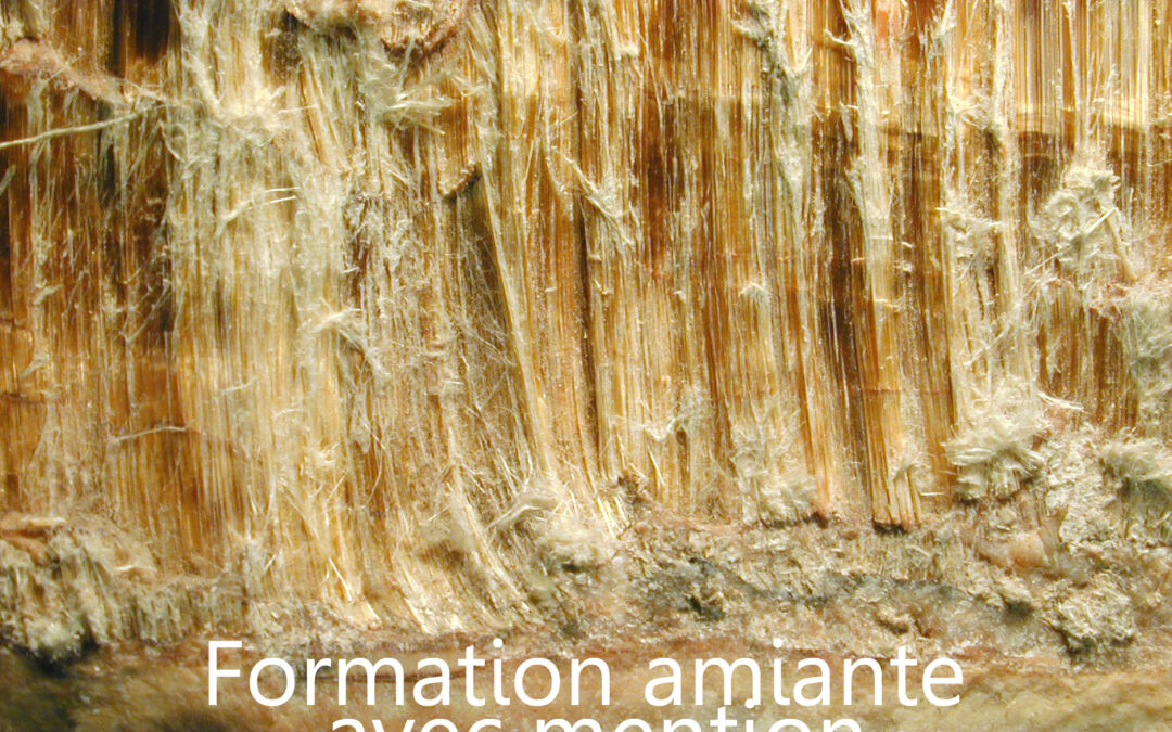 Formation amiante – avec mention